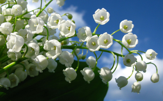 467281 (a): :2560x1600